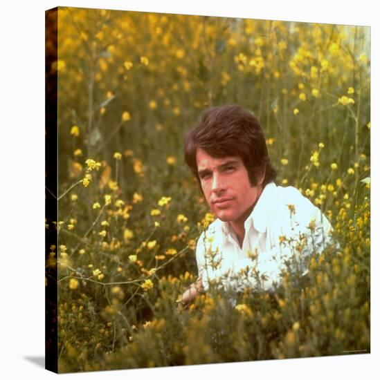 Actor Warren Beatty Sitting in Field of Flowers-Ralph Crane-Stretched Canvas