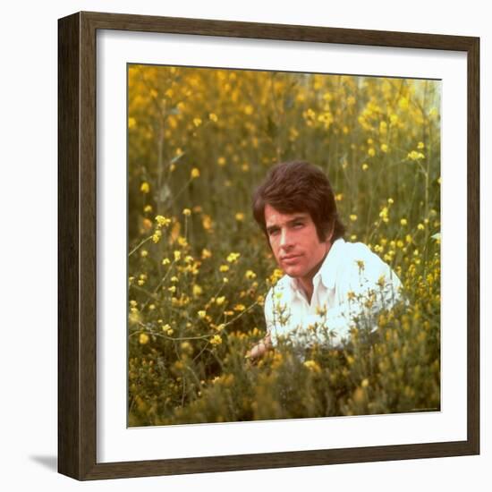 Actor Warren Beatty Sitting in Field of Flowers-Ralph Crane-Framed Premium Photographic Print