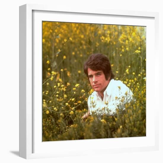 Actor Warren Beatty Sitting in Field of Flowers-Ralph Crane-Framed Premium Photographic Print