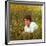 Actor Warren Beatty Sitting in Field of Flowers-Ralph Crane-Framed Premium Photographic Print