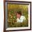 Actor Warren Beatty Sitting in Field of Flowers-Ralph Crane-Framed Premium Photographic Print