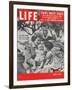 Actors Dezi Arnaz and Wife Lucille Ball with Children, Desi Jr. and Lucie, at Home, April 6, 1953-Ed Clark-Framed Photographic Print