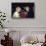 Actors Kim Basinger and Robert Redford-Ann Clifford-Stretched Canvas displayed on a wall