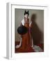 Actress' Costume from Court Musical Theater, Japan, Nara Period, 8th Century-null-Framed Giclee Print