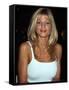 Actress Donna D'Errico-Dave Allocca-Framed Stretched Canvas