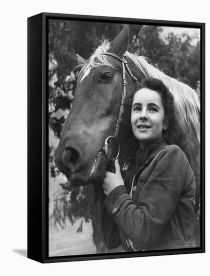 Actress Elizabeth Taylor with Saddle Horse After Her Smash Movie Debut in "National Velvet"-Peter Stackpole-Framed Stretched Canvas