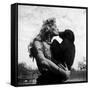 Actress Irish McCalla, Sheena Queen of the Jungle, Kissing Her Chimpanzee Co-star-Loomis Dean-Framed Stretched Canvas