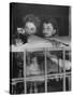 Actress Joan Fontaine with Actress Sister Olivia de Havilland Looking Out of Open Window at Home-Bob Landry-Stretched Canvas