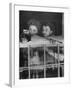 Actress Joan Fontaine with Actress Sister Olivia de Havilland Looking Out of Open Window at Home-Bob Landry-Framed Premium Photographic Print