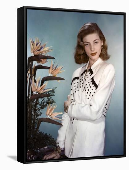 Actress Lauren Bacall born September 16th, 1924 in New York as Betty Joan Perske, here 1948 (photo)-null-Framed Stretched Canvas