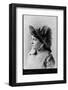 Actress Lillie Langtry-Napoleon Barony-Framed Photographic Print