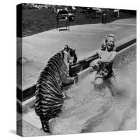 Actress Marilyn Maxwell Playing with a Tiger in a Pool-Allan Grant-Stretched Canvas
