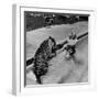 Actress Marilyn Maxwell Playing with a Tiger in a Pool-Allan Grant-Framed Premium Photographic Print