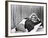 Actress Marilyn Monroe at Home-Alfred Eisenstaedt-Framed Premium Photographic Print