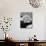 Actress Marilyn Monroe at Home-Alfred Eisenstaedt-Mounted Premium Photographic Print displayed on a wall