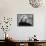 Actress Marilyn Monroe-Alfred Eisenstaedt-Framed Stretched Canvas displayed on a wall