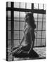 Actress Peggy Cummins Looking Out of a Window-Bob Landry-Stretched Canvas