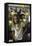 Actress Peggy Lipton-Vernon Merritt III-Framed Stretched Canvas