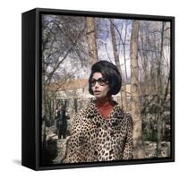 Actress Sophia Loren, 1966-null-Framed Stretched Canvas