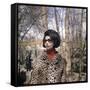 Actress Sophia Loren, 1966-null-Framed Stretched Canvas