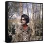 Actress Sophia Loren, 1966-null-Framed Stretched Canvas