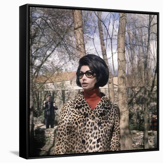 Actress Sophia Loren, 1966-null-Framed Stretched Canvas