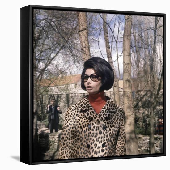 Actress Sophia Loren, 1966-null-Framed Stretched Canvas