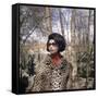 Actress Sophia Loren, 1966-null-Framed Stretched Canvas