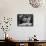 Actress Sophia Loren Attending Party at Table with Petere Lorre-Ralph Crane-Framed Stretched Canvas displayed on a wall