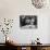 Actress Sophia Loren Attending Party at Table with Petere Lorre-Ralph Crane-Stretched Canvas displayed on a wall