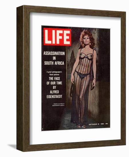 Actress Sophia Loren, September 16, 1966-Alfred Eisenstaedt-Framed Photographic Print