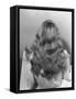 Actress Veronica Lake Posing with Her Glorious, Wavy Honey Blond Hair Cascading over Her Shoulders-Bob Landry-Framed Stretched Canvas