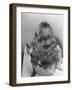 Actress Veronica Lake Posing with Her Glorious, Wavy Honey Blond Hair Cascading over Her Shoulders-Bob Landry-Framed Premium Photographic Print