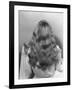 Actress Veronica Lake Posing with Her Glorious, Wavy Honey Blond Hair Cascading over Her Shoulders-Bob Landry-Framed Premium Photographic Print