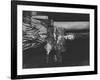 Actress Vivien Leigh as Queen Cleopatra, on Her Throne in Stately Robes in "Caesar and Cleopatra"-Cornell Capa-Framed Premium Photographic Print