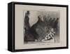 Actualites-Honore Daumier-Framed Stretched Canvas