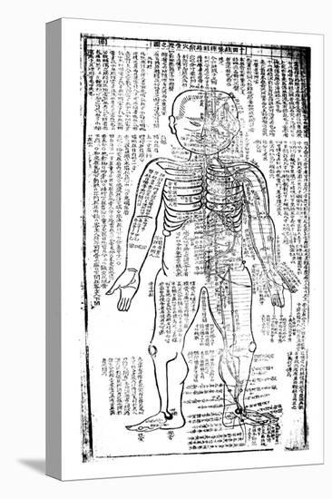 Acupuncture Chart for the Front of the Body, Japanese, 19th Century-null-Stretched Canvas