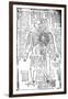 Acupuncture Chart for the Front of the Body, Japanese, 19th Century-null-Framed Giclee Print