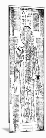 Acupuncture Chart for the Rear of the Body, Japanese, 19th Century-null-Mounted Giclee Print