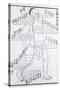 Acupuncture Points and Meridian for Stomach and Foot Disorders, 1875-null-Stretched Canvas