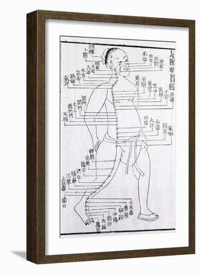 Acupuncture Points and Meridian for Stomach and Foot Disorders, 1875-null-Framed Art Print