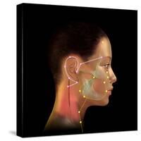 Acupuncture Points-David Gifford-Stretched Canvas