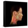 Acupuncture Points-David Gifford-Framed Stretched Canvas