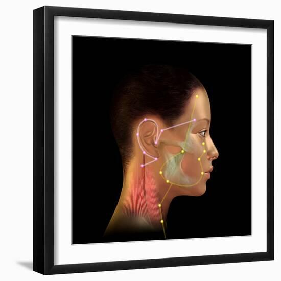 Acupuncture Points-David Gifford-Framed Premium Photographic Print