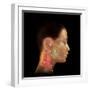 Acupuncture Points-David Gifford-Framed Premium Photographic Print