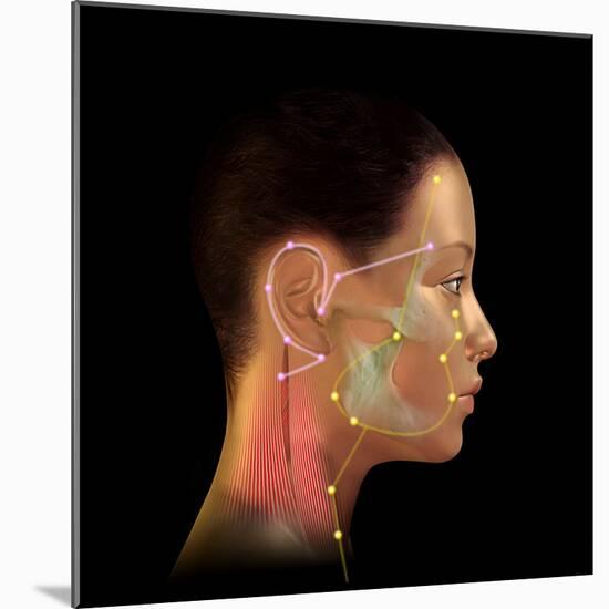 Acupuncture Points-David Gifford-Mounted Premium Photographic Print