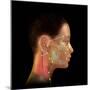 Acupuncture Points-David Gifford-Mounted Premium Photographic Print