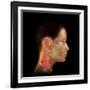 Acupuncture Points-David Gifford-Framed Photographic Print