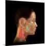 Acupuncture Points-David Gifford-Mounted Photographic Print