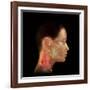 Acupuncture Points-David Gifford-Framed Photographic Print